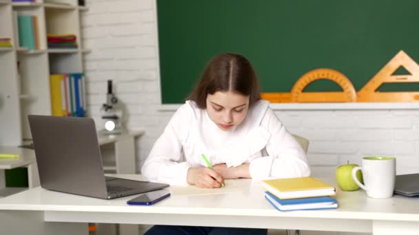 Ciddi bir kız çocuğu okul masasında, okul kitapçığında yazı yazıyor. - Video, Çekim
