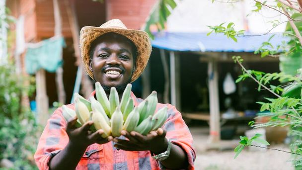 Ευτυχία Αφρικανός αγρότης στέκεται και κρατάει τις μπανάνες με την αγροικία του στο βάθος - Φωτογραφία, εικόνα