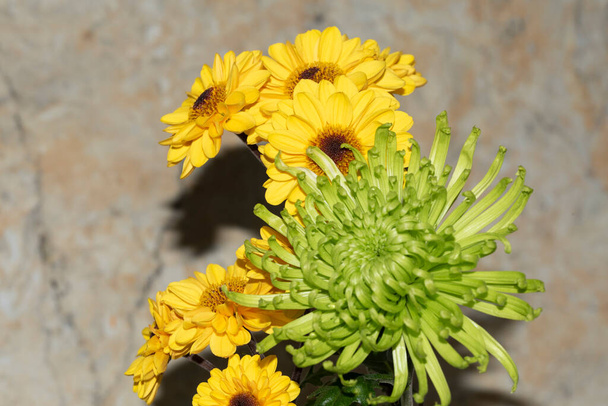 Nahaufnahme des Straußes von schönen Blumen - Foto, Bild