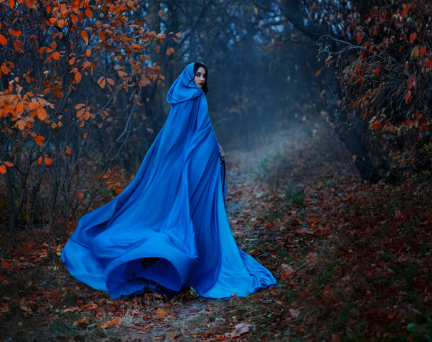 Gothic mysterious woman walks in fantasy autumn forest. long silk blue cloak flutters, waving fly in wind, fabric in motion. Head hood. Girl princess looks back. Fallen orange leaves dark trees, fog. - Valokuva, kuva