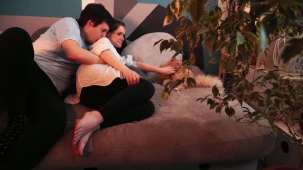 Άντρας και έγκυος γυναίκα ξαπλώνουν μαζί και χαϊδεύει μια γάτα. - Πλάνα, βίντεο