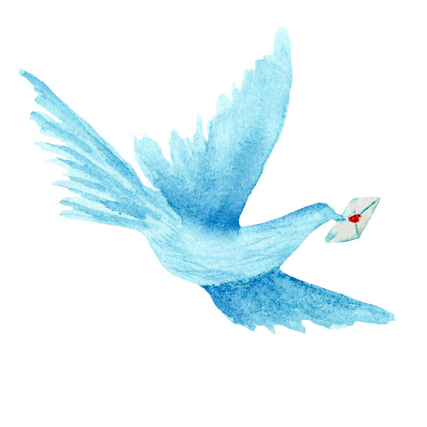 Watercolor blue dove bird with craft envelope letter flying on white isolated background. elegant love sign illustration. Lonely dove for wedding card, love message symbol. - Fotografie, Obrázek