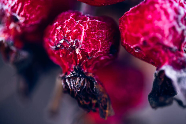 A selective focus shot of raspberries with fresh frost - Photo, image