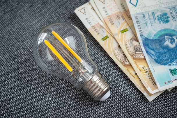 Žárovka s polskými penězi. Koncept úspory energie, účet za elektřinu - Fotografie, Obrázek