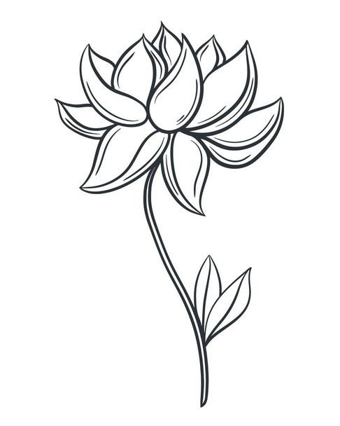 Beautiful flower hand drawn isolated vector illustration. Blooming vintage sketch. Flower with blossoming bud petals on a branch with leaves - Vektör, Görsel