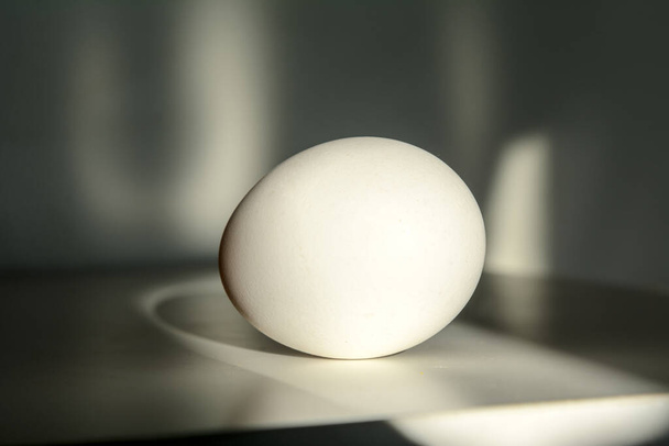 Jajko kurze obradowane przez słońce rzuca cień. - Zdjęcie, obraz