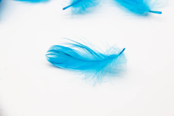Plumas de pájaro mullidas azules sobre un fondo blanco. Una textura de plumas suaves. - Foto, imagen