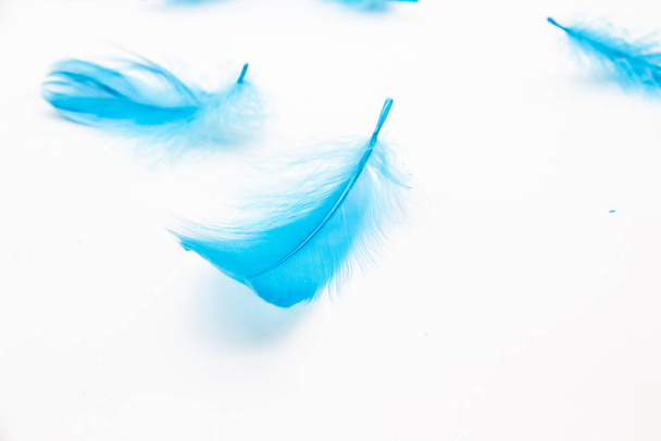 Blauwe pluizige vogelveren op een witte achtergrond. Een textuur van een zachte veer. - Foto, afbeelding