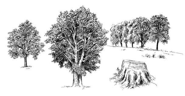 çizilmiş ağaçlar üzerinde beyaz izole el - Vektör, Görsel