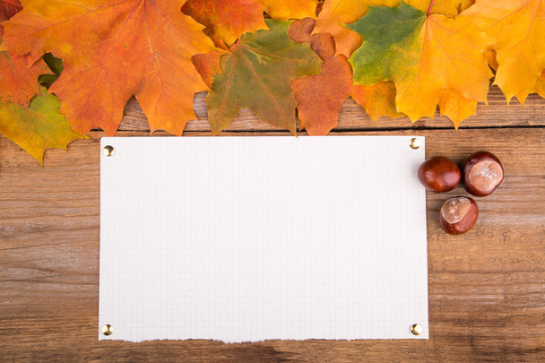 autumn frame from maple leaves and chestnut - Fotoğraf, Görsel