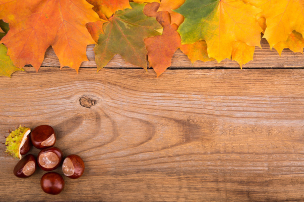 autumn frame from maple leaves and chestnut - Fotografie, Obrázek