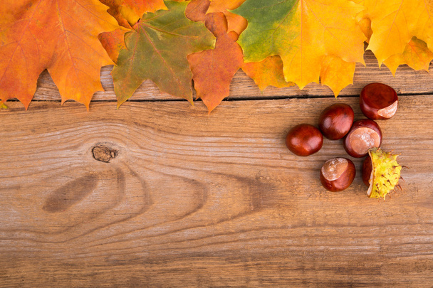 autumn frame from maple leaves and chestnut - Fotografie, Obrázek