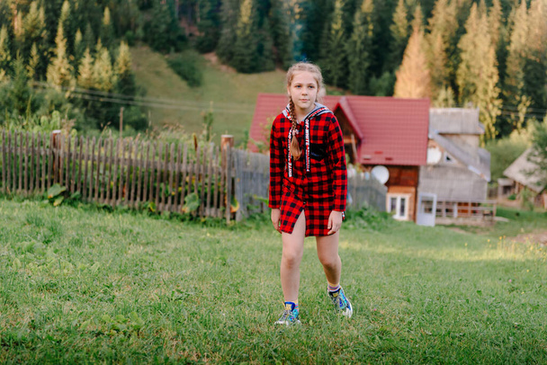 Little girl look into the distance on a grassy hill. portrait of a girl against the panorama of the Alps. happy children girl on spring flowers meadow. - Foto, Imagem