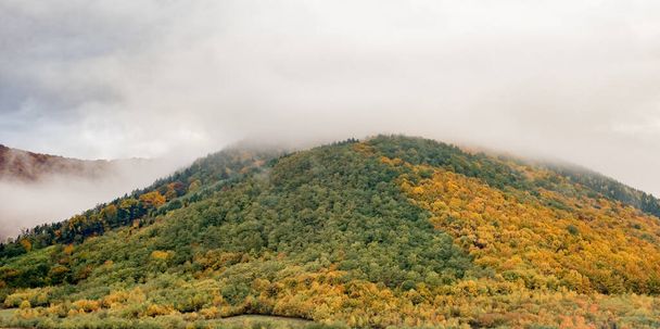 ルーマニアの山々、ファンタネレ村地域、シビウ郡、シンデレラ山、ルーマニアの美しい秋の風景 - 写真・画像