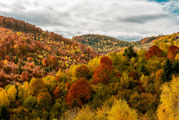 ルーマニアの山々、ファンタネレ村地域、シビウ郡、シンデレラ山、ルーマニアの美しい秋の風景 - 写真・画像