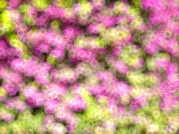 květináče s bokeh - Fotografie, Obrázek