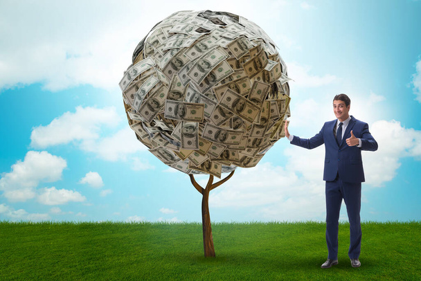 Empresario con árbol de dinero en concepto de negocio
 - Foto, Imagen
