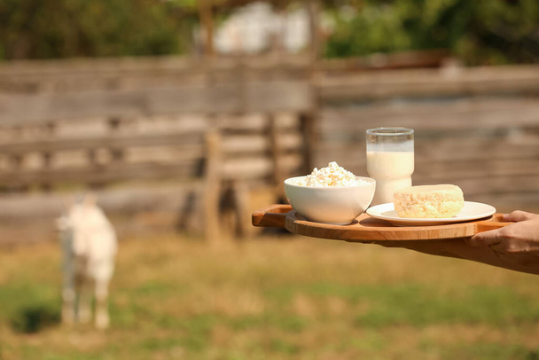 Mulher com leite de cabra fresco, quark e queijo na fazenda - Foto, Imagem