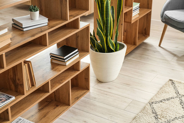 Living room with stylish bookshelves and houseplant - Foto, afbeelding