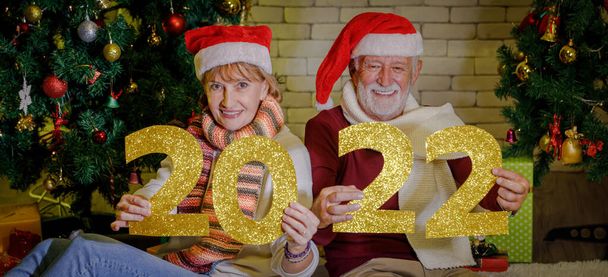 Feliz mujer madura y anciano sonriendo y demostrando número de oro 2022 mientras se sienta cerca de árboles de coníferas decoradas y celebrando el Año Nuevo juntos - Foto, imagen