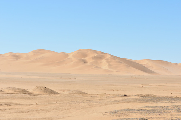 Duna 7 no deserto da Namíbia
 - Foto, Imagem