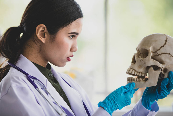 Γοητευτικός Ασιάτης γιατρός ανατομίας με στηθοσκόπιο και κλινικά γάντια που κρατούν το ανθρώπινο κρανίο για να ελέγξουν το πηγούνι και να παρατηρήσουν τη δομή των δοντιών για επιστημονική έρευνα ανθρώπων στο εργαστήριο βιολογίας. - Φωτογραφία, εικόνα