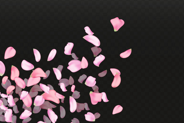 Pink falling sakura petals.Nature horizontal black background. - Vector, Image
