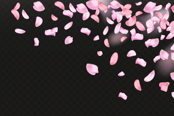 Rosa caindo pétalas sakura. Natureza horizontal fundo preto. - Vetor, Imagem