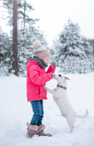 Petite fille dans une veste lumineuse joue dans la forêt enneigée d'hiver avec son chien Jack Russell Terrier - Photo, image