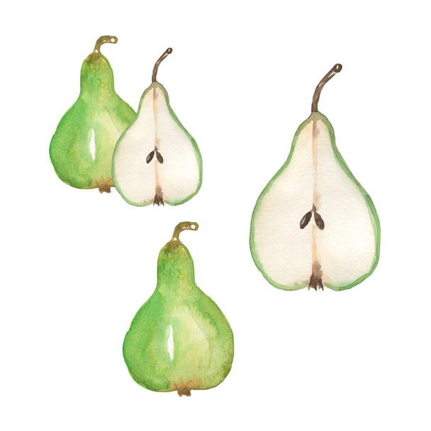 Watercolor pear illustration set, hand drawn pear fruit clipart. Organic healthy food. - Foto, Imagem