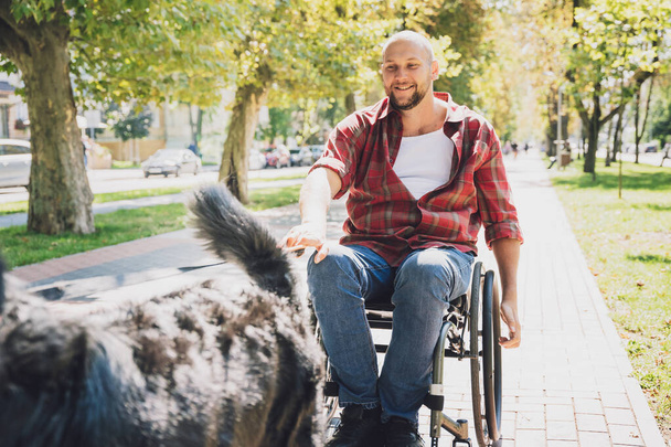 犬と車椅子で身体障害を持つ幸せな若い男. - 写真・画像