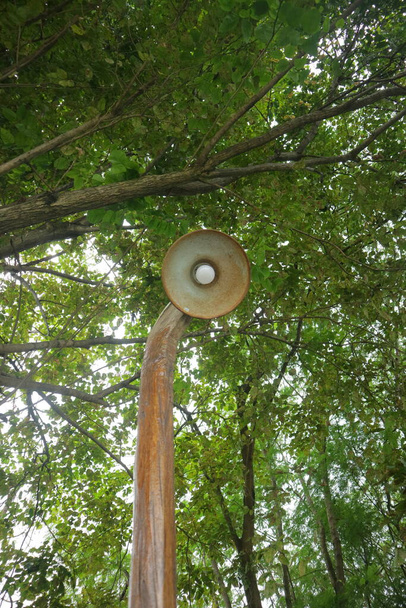 lampadaire sous l'arbre photo - Photo, image