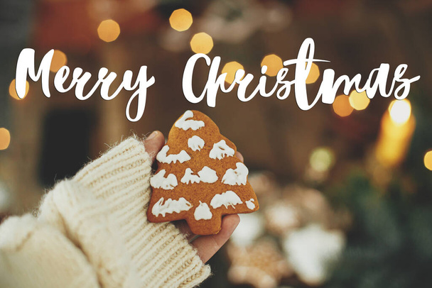 Merry Christmas text on hand holding christmas tree gingerbread cookie on  moody background with warm lights. Season's greetings card. Handwritten sign. Happy Holidays! - Fotografie, Obrázek