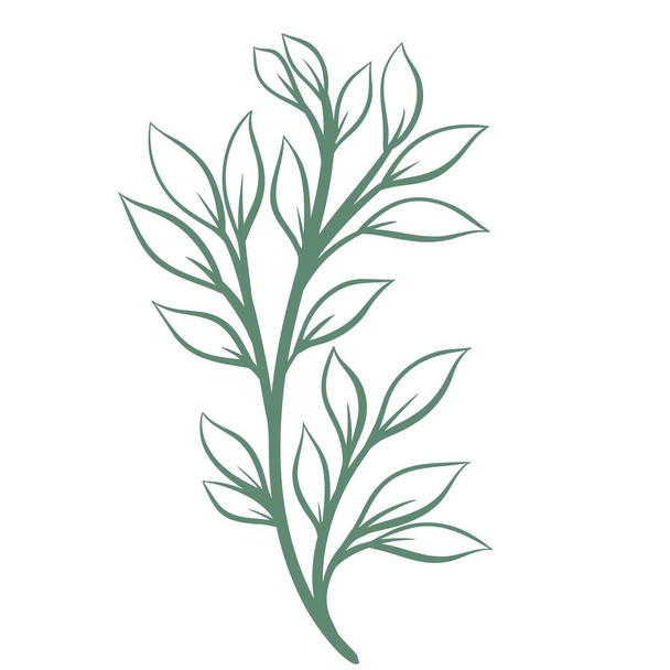 Greenery branch isolated vector illustration - ベクター画像