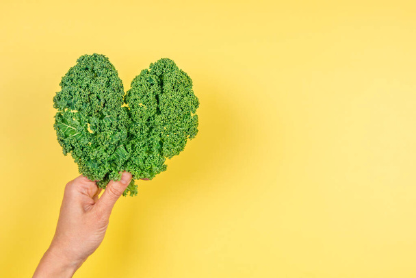 Woman hand holding green heart made of fresh curly kale cabbage leaves over yellow background. Love of vegetarian, vegan food, healthy organic food concept - 写真・画像