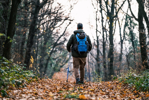 Image of man enjoys hiking in  nature. - Zdjęcie, obraz