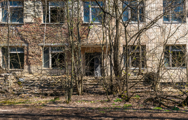Calle de la ciudad fantasma abandonada Pripyat. Árboles arrasados y casas derrumbadas en la zona de exclusión del desastre nuclear de Chernóbil - Foto, imagen