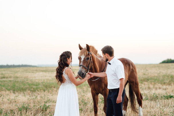 the bride in a white dress and the groom in a white shirt on a walk with brown horses - Fotoğraf, Görsel