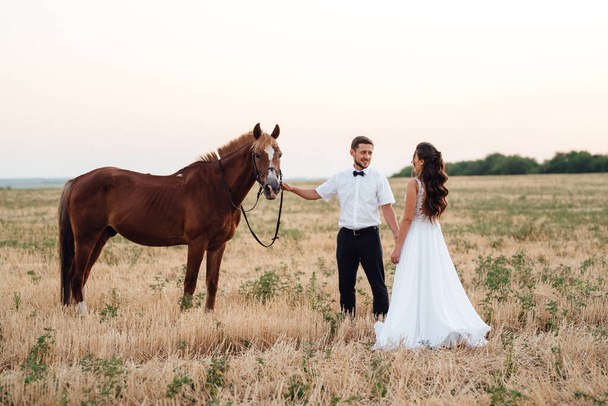 die Braut im weißen Kleid und der Bräutigam im weißen Hemd auf einem Spaziergang mit braunen Pferden - Foto, Bild