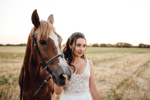 bride in a white dress next to a brown horse in the village - Photo, image