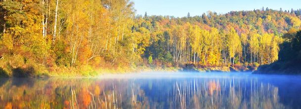 Złoty las brzozy i rzeka w porannej mgle. Czyste błękitne niebo. Symetria odbicia wody. Park Narodowy Gauja, Sigulda, Łotwa. Turystyka ekologiczna, cele podróży, ochrona środowiska - Zdjęcie, obraz