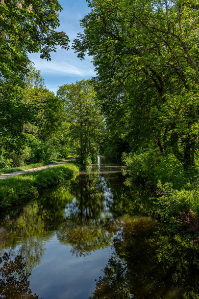 Beautiful summer view of a canal or river in Sweden with very still and mirror like water. Green trees with lush foliage along the sides and summer sunshine - 写真・画像