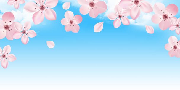 Kirschblüten Frühling Blume Hintergrund  - Vektor, Bild
