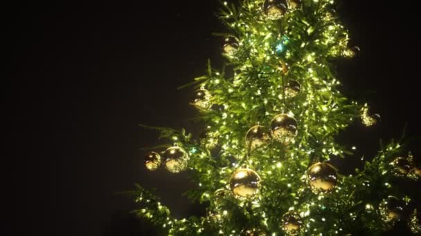 Neujahrsbaum mit Bällen im Park. - Filmmaterial, Video