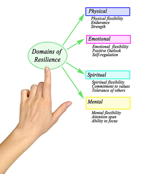 Four Domains of Personal Resilience		 - Photo, Image