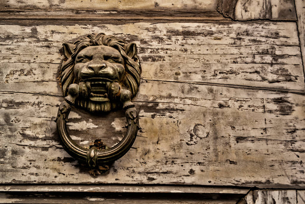 Metallic door knocker with lion - Photo, Image