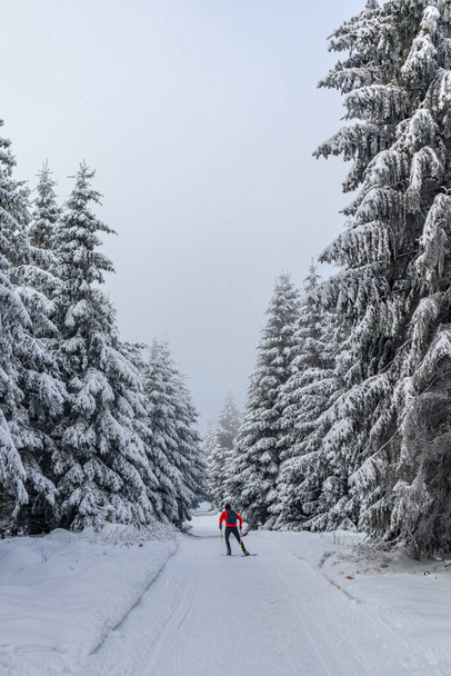 Oberschnau yakınlarındaki Thuringian Ormanı 'nın tepelerinde güzel bir kış manzarası. - Fotoğraf, Görsel