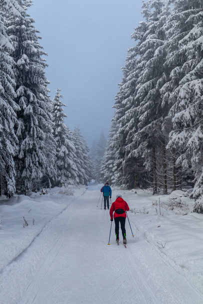 Kaunis talvimaisema Thüringenin metsän korkeuksilla Oberschnaun lähellä - Thüringen - Valokuva, kuva