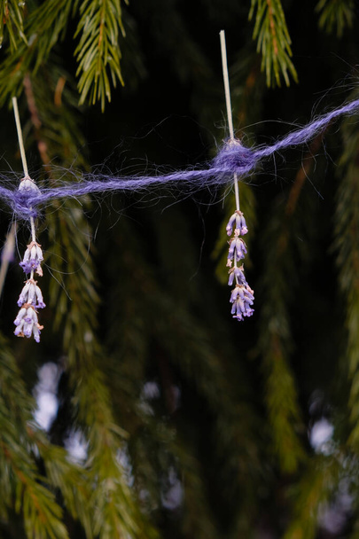 Szárított illatos levendula lila mohair cérnán. Karácsonyfa díszített nagyon Peri Color. Függőleges kép. - Fotó, kép
