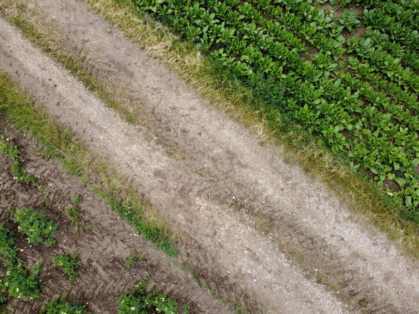 A Aerial shot of green and white fields - Foto, Bild